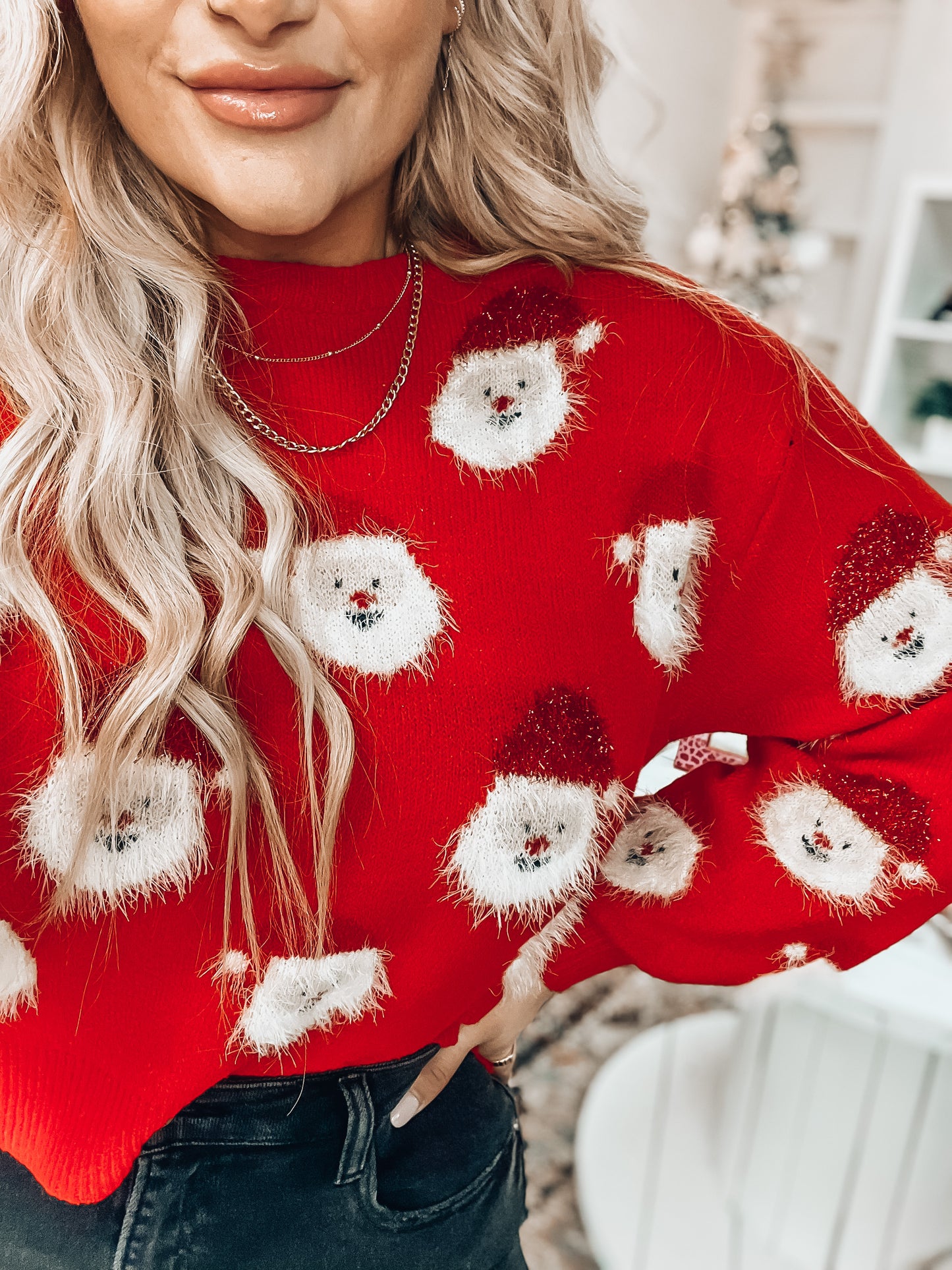 Santa Sweater