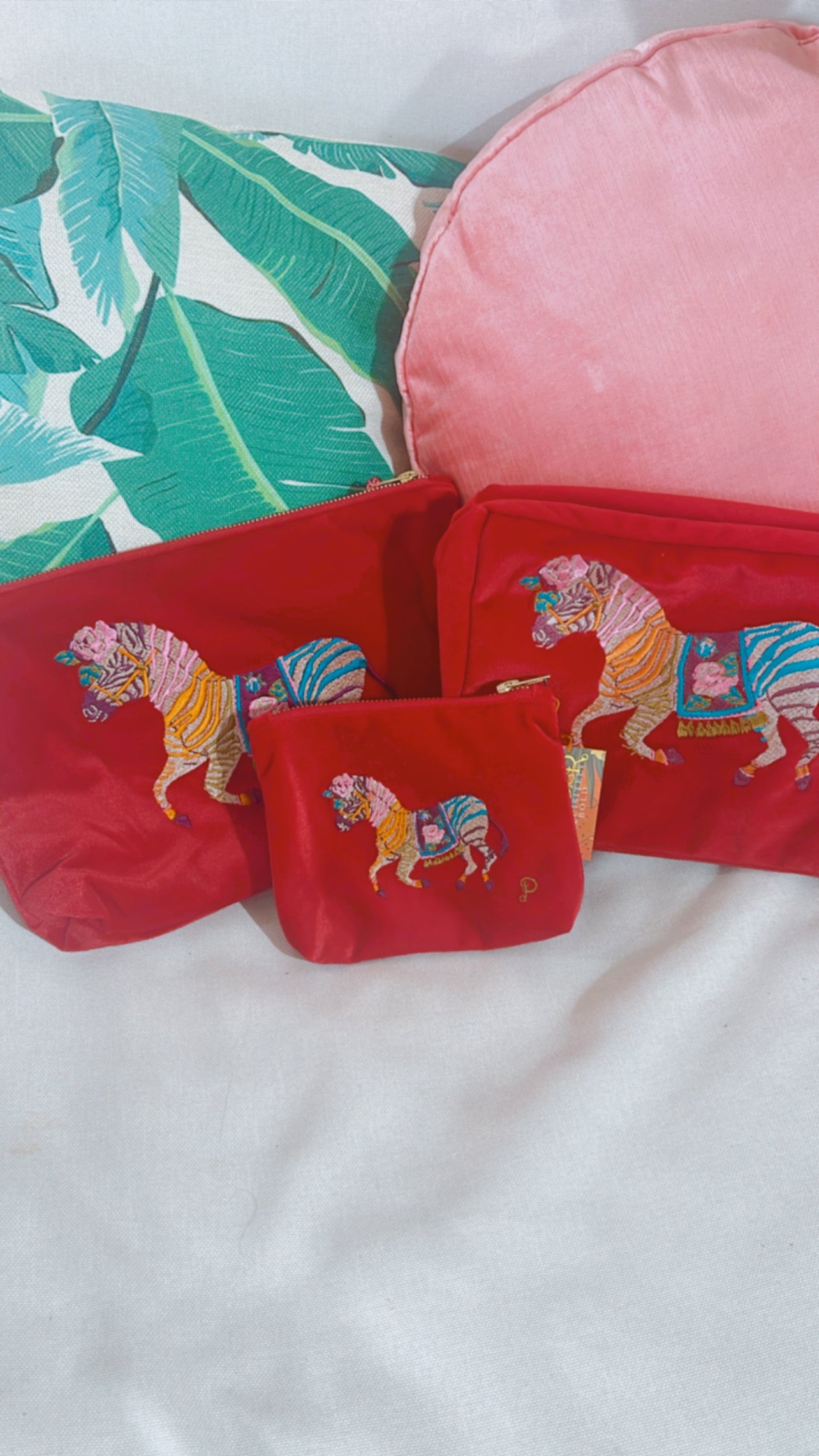 Zebra Carnival Velvet Zip Pouch-Mini
