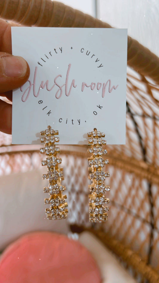 Stunning Bling Earrings