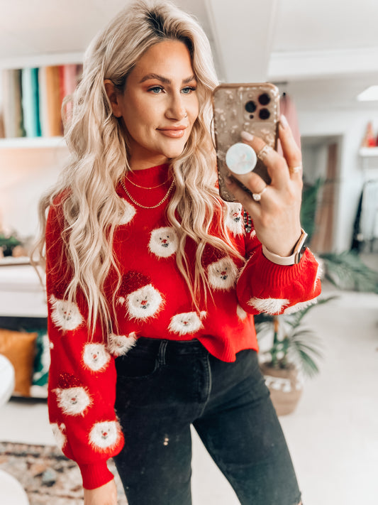 Santa Sweater