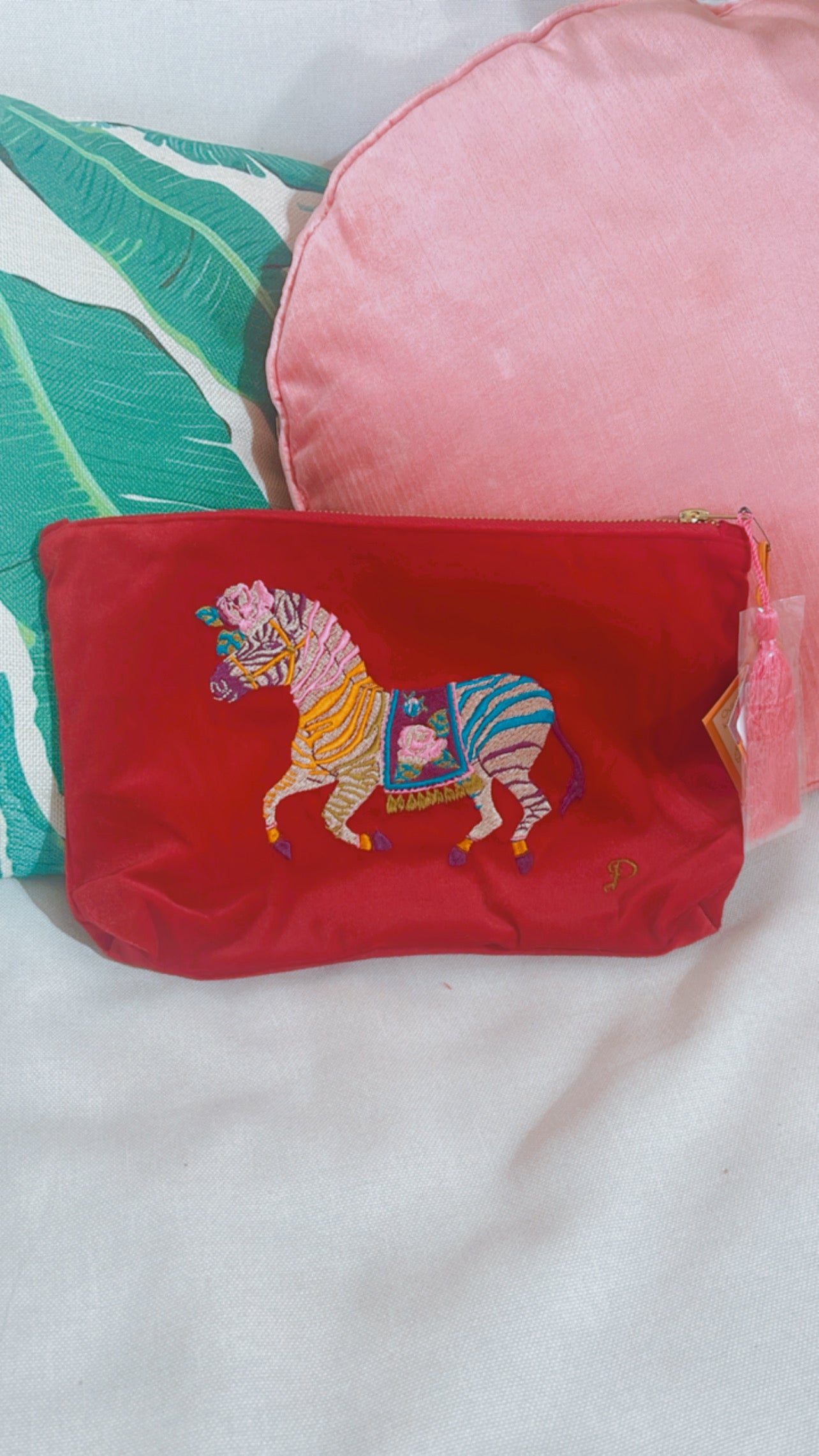 Zebra Carnival Velvet Zip Pouch